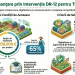 Infografic fonduri europene DR 12 - Consultanta Atelier 46 pentru tineri fermieri